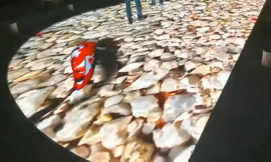 Cuztomized LED Floor